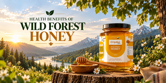 Health Benefits of Wild Forest Honey